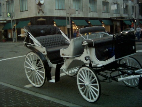 Traditional white with black trim wedding carriage used in Cincinnati Ohio - OH, Covington Kentucky - KY, Newport Kentucky - KY and surrounding areas
