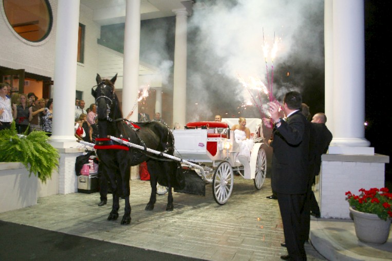 A different romantic view Fancy with her white / red horse carriage going thru sparklers at a wedding in Ohio