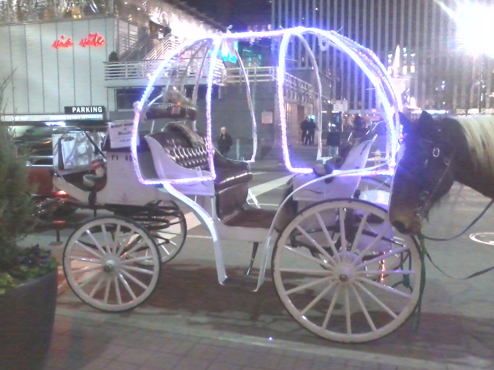 Horse-drawn carriage used in Covington Kentucky - KY, Cincinnati Ohio - OH and Newport Kentucky - KY