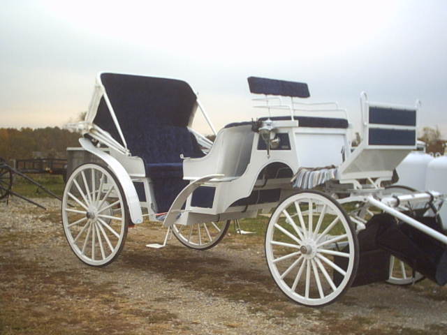 white with deep rich royal blue trim wedding carriage used in Cincinnati Ohio - OH, Covington Kentucky - KY, Newport Kentucky - KY and surrounding areas