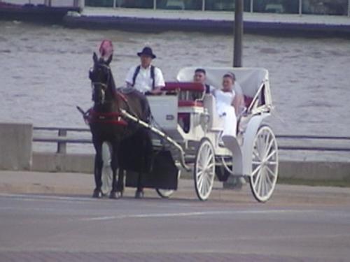 Fancy and Steve taking a ride along the Ohio River after their wedding in Covington Kentucky heading to their reception in downtown Cincinnati Ohio.