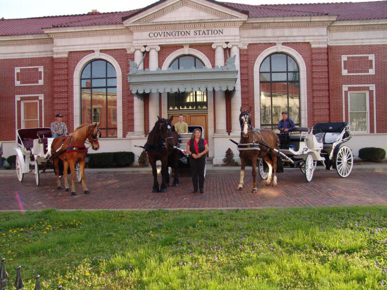 Horse drawn carriages used in Covington KY, Newport Kentucky and downtown Cincinnati Ohio - OH for city tours / rides.  Weddings, Engagements, Proms, Birthdays, Christmas