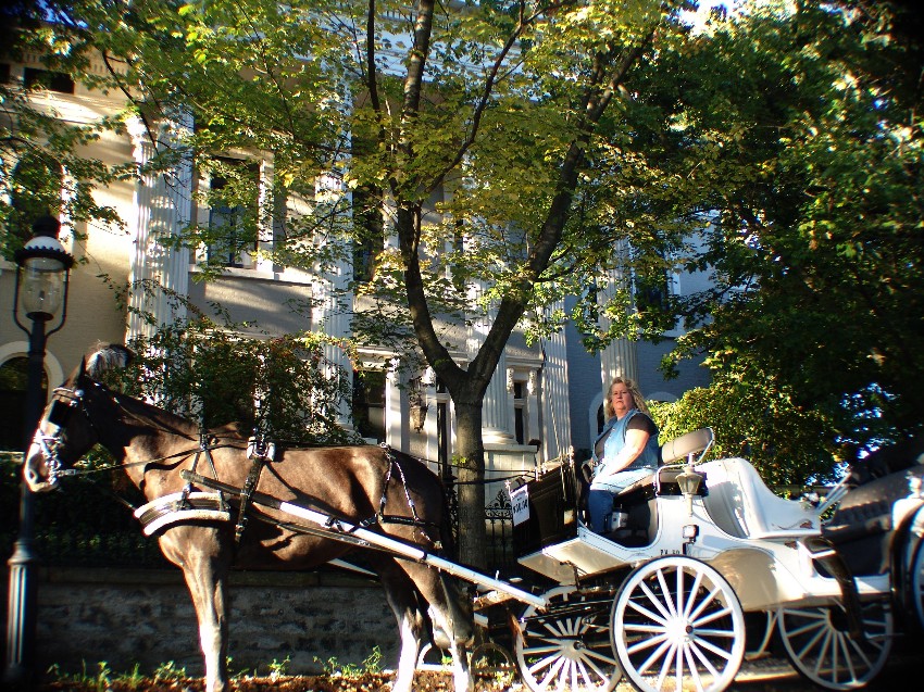 Choose your special horse-drawn carriage ride from several pre-planned Covington Kentucky - KY horse and carriage rides or let us help you create a custom horse drawn carriage ride package in downtown Covington Kentucky - KY