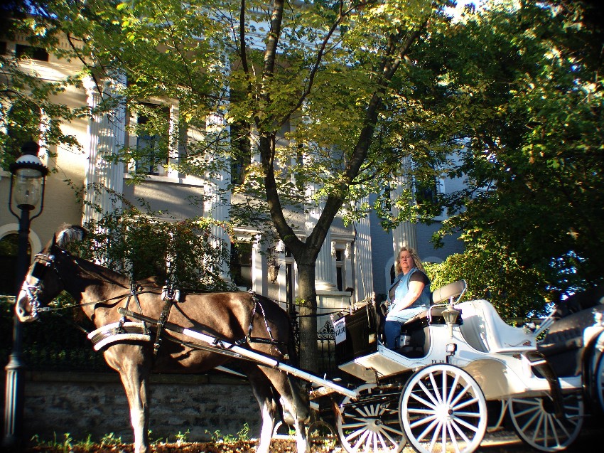 Romantic horse carriage rides near best sale me