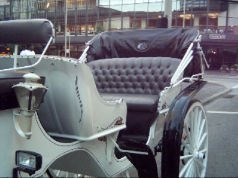 Traditional white with black trim wedding carriage used in Cincinnati Ohio - OH, Covington Kentucky -KY, Newport Kentucky - KY and surrounding areas