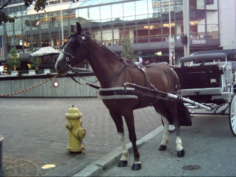 Midnight at Fountain Square in Cincinnati Ohio - OH