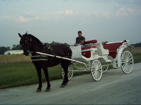 Fancy out by the house in Indiana