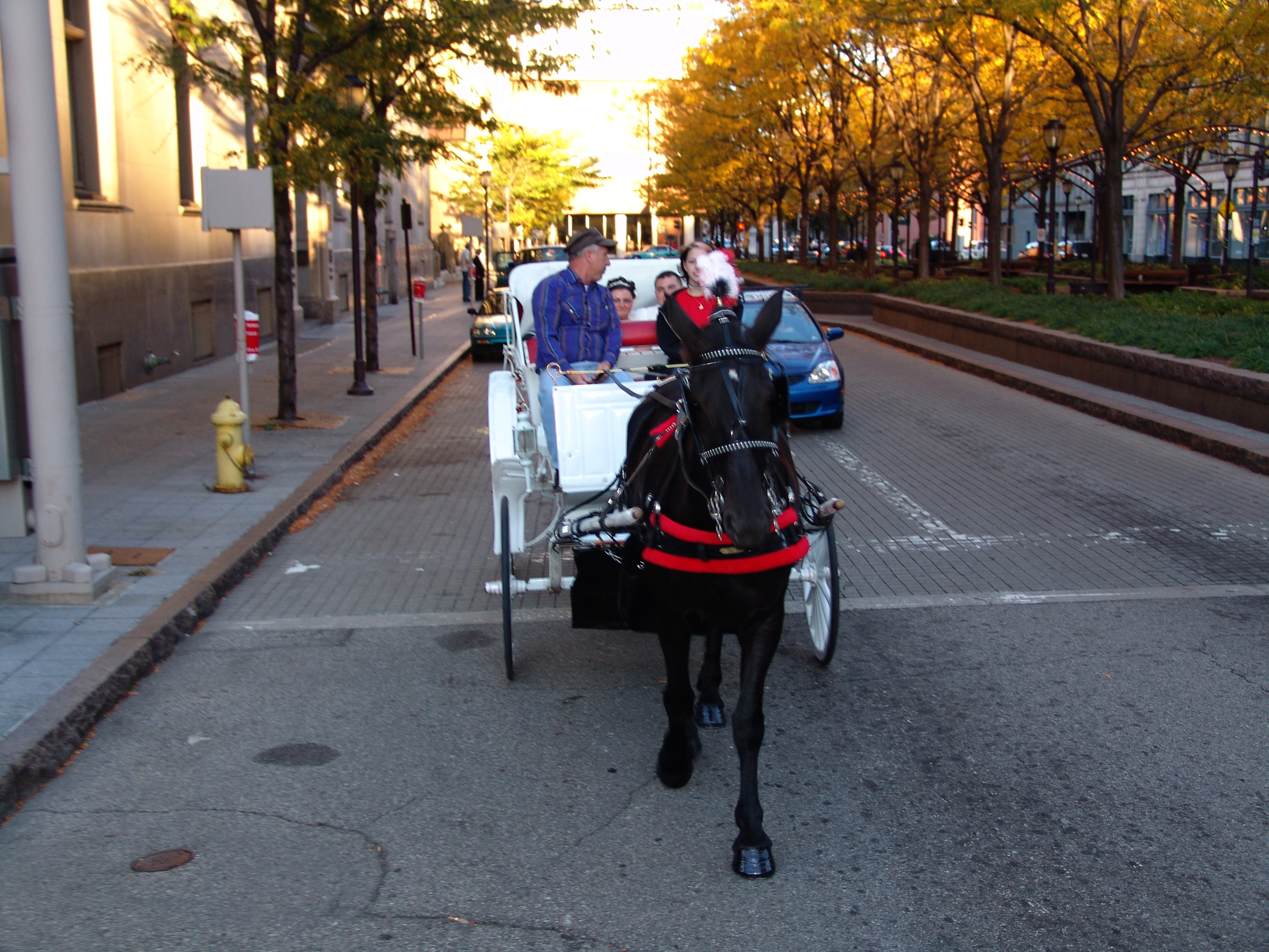 Fancy used with a downtown Cincinnati Ohio wedding.  Enjoying their wedding evening driving through Garfield Park heading back to Fountain Square area