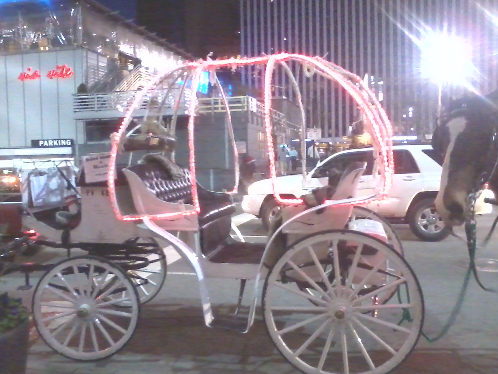 Horse drawn carriage used for weddings, proms, engagements in Southwestern Ohio,  Northern Kentucky and Southeastern Indiana