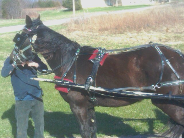 Fancy at a job in Southeastern Ohio