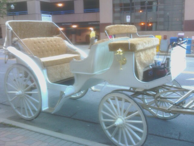 Your horse-draw carriage for Cincinnati Ohio wedding