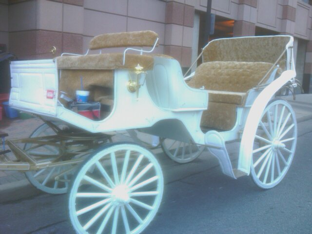 Your horse-draw carriage for Covington Kentucky wedding