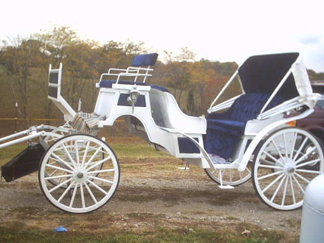 white with deep rich royal blue trim wedding carriage used in Cincinnati Ohio - OH, Covington Kentucky - KY, Newport Kentucky - KY and surrounding areas