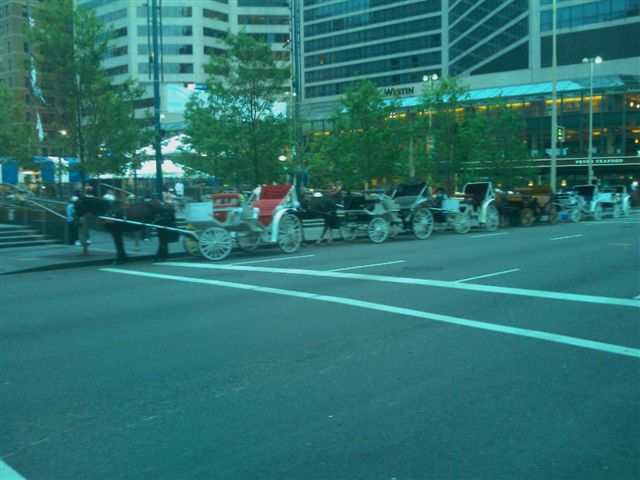 Cinncinnati Ohio - horse-drawn carriages for transportation for the entire wedding party / way better than a limo, what style 