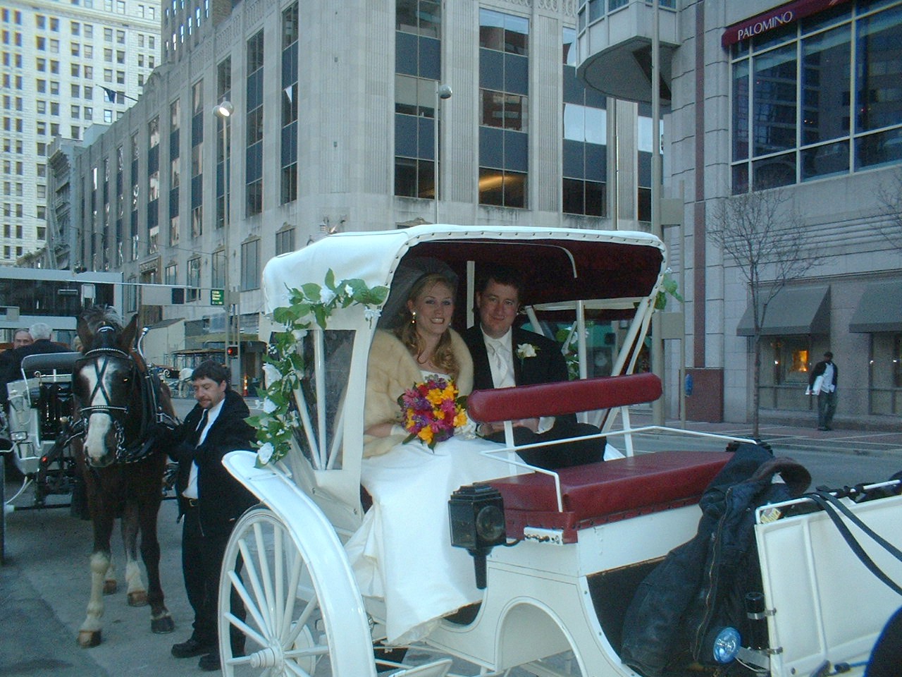 Our beautiful Victorian horse carriage with the whole wedding party in four different wedding carriages for a downtown Cincinnati wedding