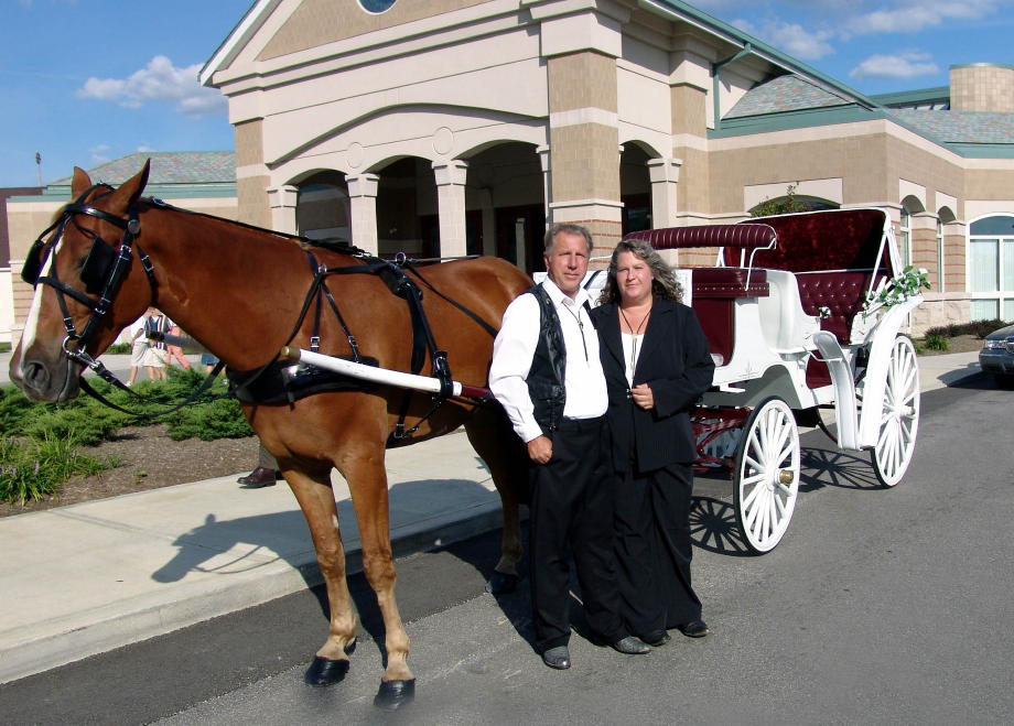 Cody pulling his white and burgandy wedding carriage is waiting for a 50 year wedding anniversary in Anderson Ohio - OH outside Cincinnati Ohio - OH
