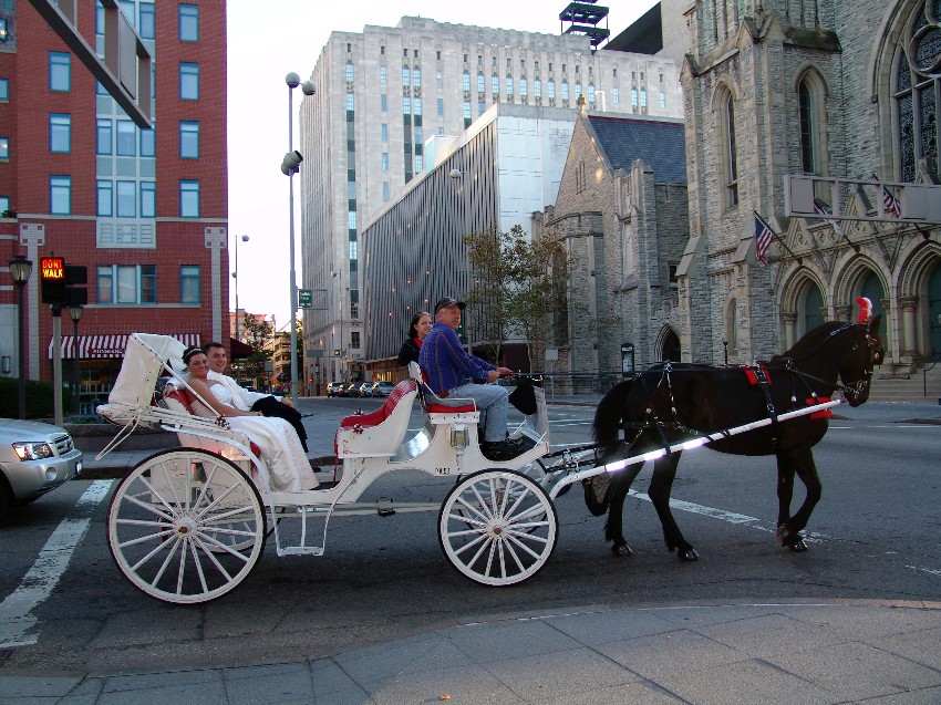 Choose your special horse-drawn carriage ride from several pre-planned Cincinnati Ohio - OH horse and carriage rides or let us help you create a custom horse drawn carriage ride package in downtown Cincinnati Ohio - OH