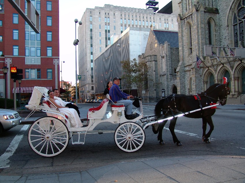 Horse Drawn Carriage Rides downtown Cincinnati Ohio (OH). Horse-Drawn ...