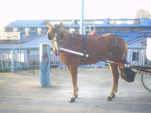 Cody in front of the B & B Riverboat at the Covington Landing