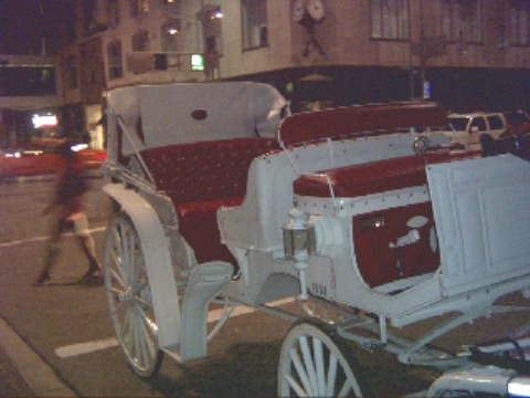 Stricking white with red trim wedding carriage used in Cincinnati Ohio - OH, Covington Kentucky - KY, Newport Kentucky - KY and surrounding areas