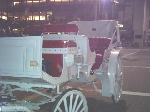 Stricking white with red trim wedding carriage used in Cincinnati Ohio - OH, Covington Kentucky - KY, Newport Kentucky - KY and surrounding areas